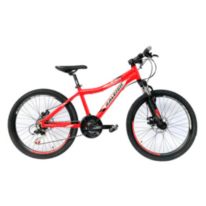 Raleigh Scout MTB R.24