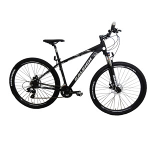 Raleigh Mojave 2.0 29